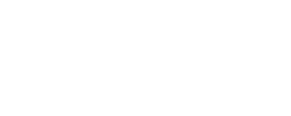 Sybruss Logo White